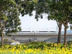 -光明小镇欢乐田园