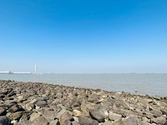 -上海吴淞炮台湾国家湿地公园