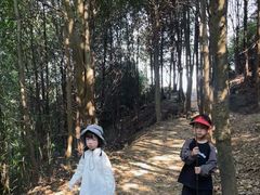 -大罗山风景区