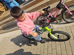 -道路口单车爱瓦士dahon大行