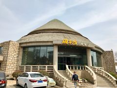 -海草馆自助餐厅(悦海店)