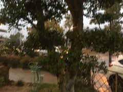 -东湖磨山景区樱花园-停车场