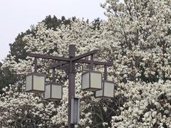 -北京市劳动人民文化宫