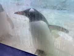 -珠海长隆海洋王国