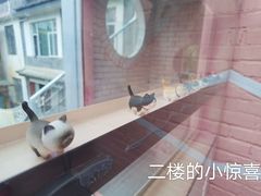 -喵屿·大理花园猫咖