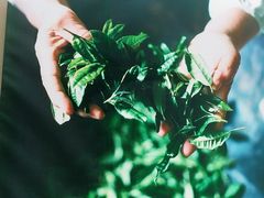 -奈雪的茶(中华广场店)
