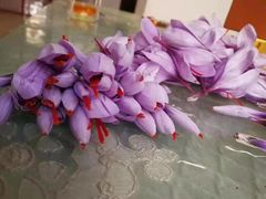 -万达广场(菏泽牡丹店)