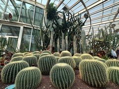 -昆明植物园
