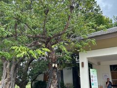 -Chom Cafe and Restaurant