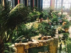 -郑州银基黄帝宫御温泉