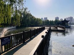 -莲花池公园