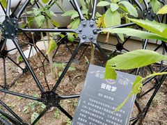 -正佳雨林生态植物园