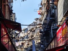 -秦胖子肉陀良心店