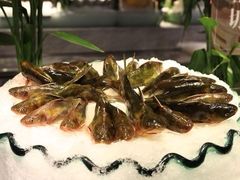 -川骄海鲜自助(河东店)