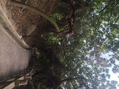 iphone_upload_pic-东澳岛