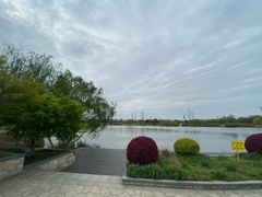 -九里河湿地公园