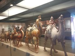 -西安大唐西市博物馆