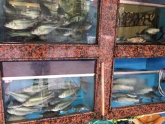 水产区-嘉华海鲜酒家(龙津中路店)