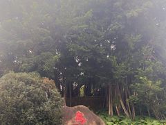 -乌山风景区
