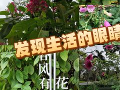 -云溪植物园