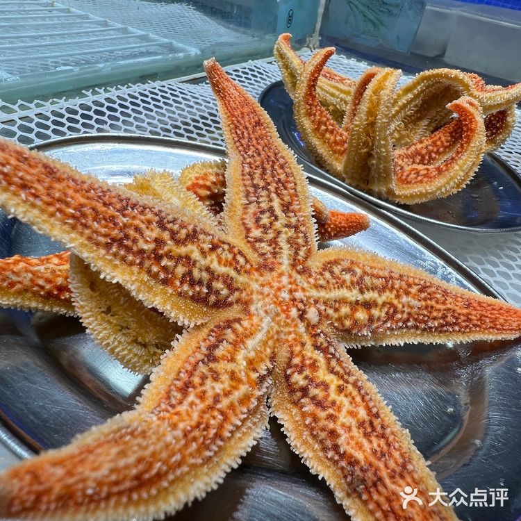 王富贵何方神圣，海鲜火锅性价比太高了