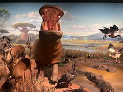 -陕西自然博物馆