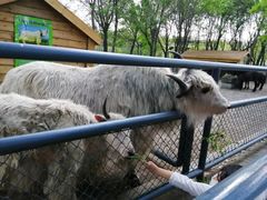 -长白岛森林公园