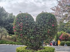 -东莞植物园