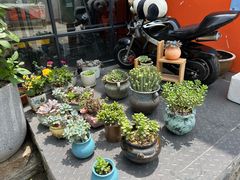 -無鱼咖啡店(淇澳岛店)