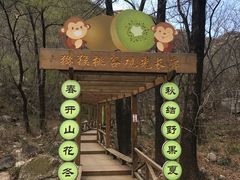 -大岭沟猕猴桃谷风景区