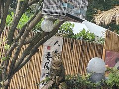 -老房子金沙元年川菜食府·花园餐厅(金沙店)