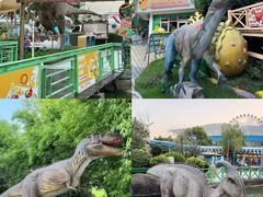 -海合安武汉极地海洋公园