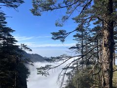 -瓦屋山景区