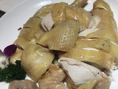 -鹅城