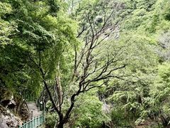-少华山国家森林公园