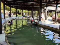 -三江森林温泉度假区