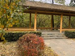 -元大都城垣遗址公园