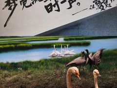 -中国湿地博物馆