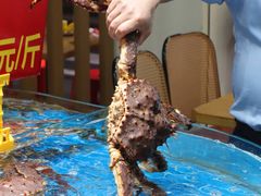 -坛南湾阿强农家乐.海鲜大排档老字号(福州地标美食店)