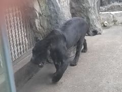 -南昌动物园