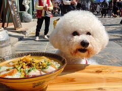 -肇兴特色牛肉粉