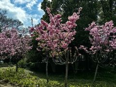 -新江湾城公园