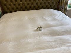 -梵克雅宝(国贸商城店)