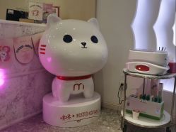 -咪咪专业脱毛连锁机构