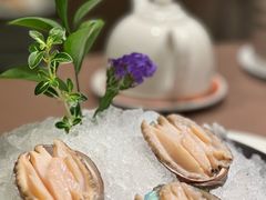 -協成海鮮火鍋(老店)