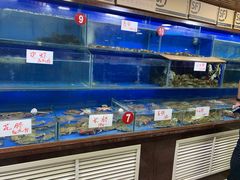 水产区-张树军海鲜(王府壹号店)