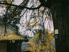 -金堂县云顶石城风景区