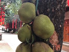 -茂德公鼓城