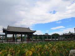-莲花池公园