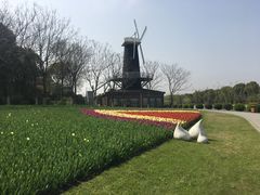 -上海鲜花港